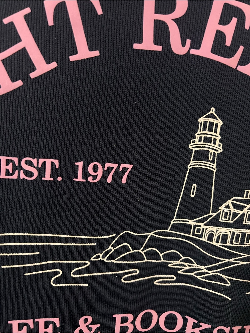 American Eagle Outfitters Navy Crewneck Sweatshirt with Pink Lettering - Picture 4 of 9